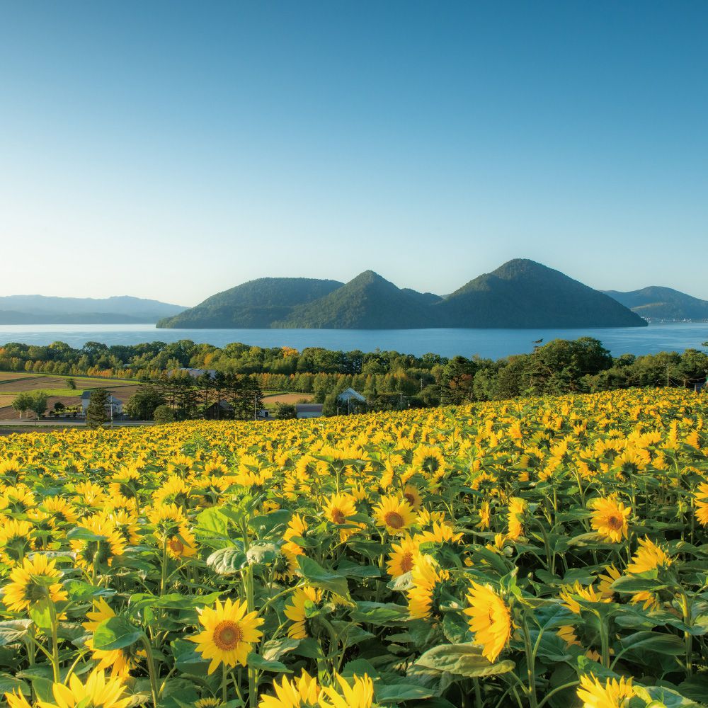 大自然体 北海道キャンペーン 年7月1日 水 9月30日 水